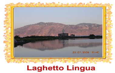 Lingua